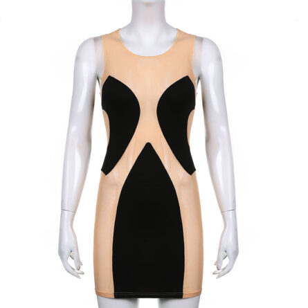 Almost Nude Sexy Mesh Bodycon Mini Dress – Bild 9