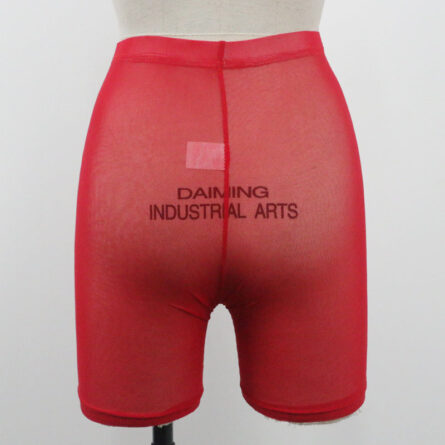 High Waist Sexy Neon Mesh Sheer Swim Shorts Beach Cover Up Beachwear - Image 25