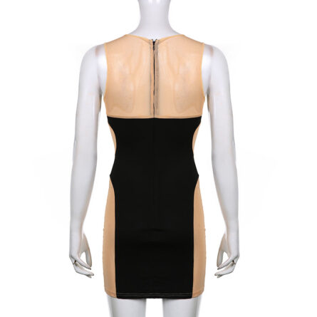 Almost Nude Sexy Mesh Bodycon Mini Dress – Bild 12