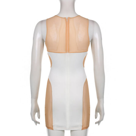Almost Nude Sexy Mesh Bodycon Mini Dress – Bild 8