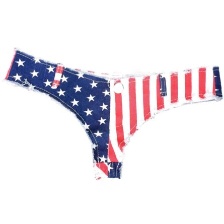 New American Flag Cheeky Denim Bikini – Bild 14