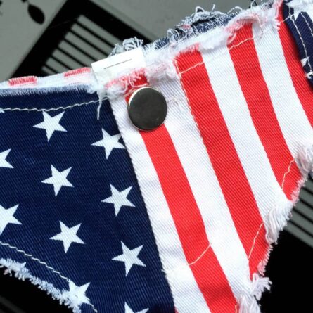 New American Flag Cheeky Denim Bikini – Bild 16