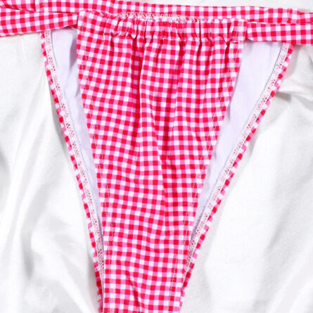 Pink Gingham Charm Bikini - Image 5
