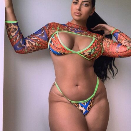 Mesh Lovin Bikini - Image 2