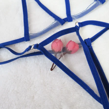 Evoke O-Ring Transparent Sheer Micro Bikini – Sunset And Swim
