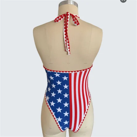 Stars Align USA Deep Plunge One-Piece Swimsuit - Image 8